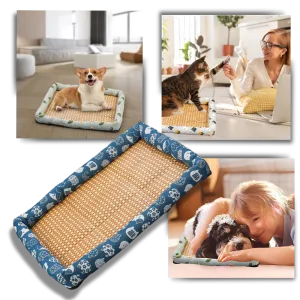 Anti-Slip Cooling Technology Pet Mat