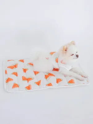 CAT&DOG Watermelon Pattern Pet Cooling Mat