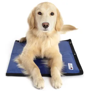 CoolerDog Hydro Cooling Mat