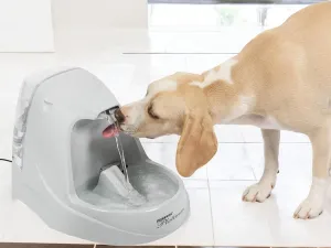 Drinkwell Platinum Pet Fountain
