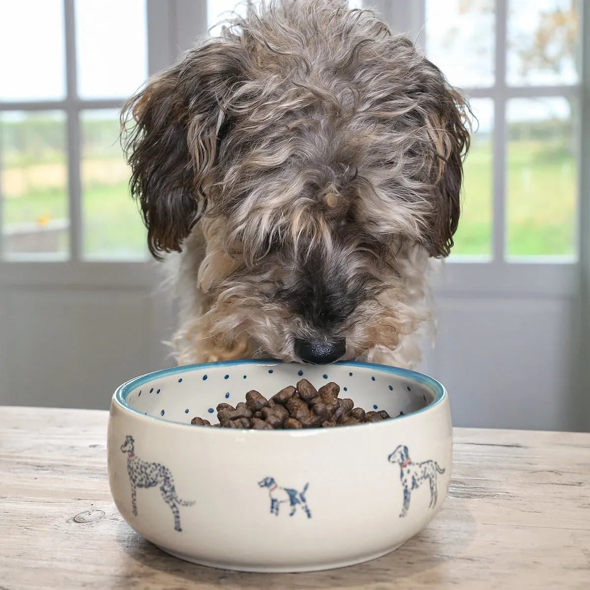 Fetch Stoneware Dog Bowl