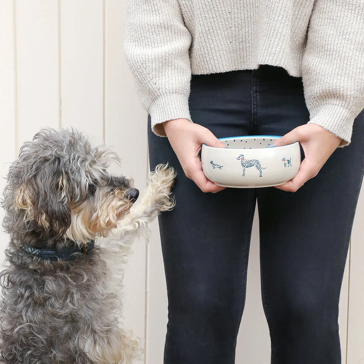 Fetch Stoneware Dog Bowl