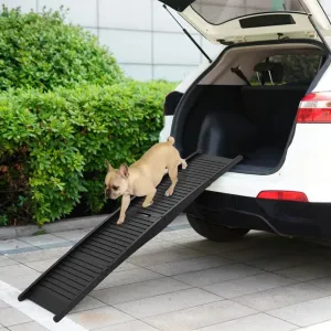 Folding Dog Ramp (Black)
